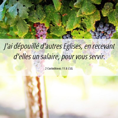 Picture 06 - 2 Corinthiens 11:8 LSG - J'ai dépouillé d'autres Eglises, en recevant - Bible Verse Picture