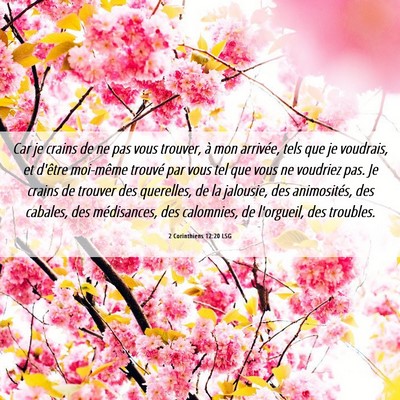 Picture 06 - 2 Corinthiens 12:20 LSG - Car je crains de ne pas vous trouver, à mon - Bible Verse Picture