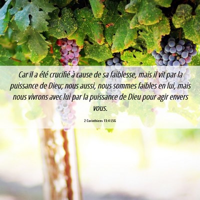 Picture 06 - 2 Corinthiens 13:4 LSG - Car il a été crucifié à cause de sa - Bible Verse Picture