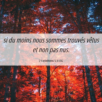 Picture 06 - 2 Corinthiens 5:3 LSG - si du moins nous sommes trouvés vêtus et non - Bible Verse Picture