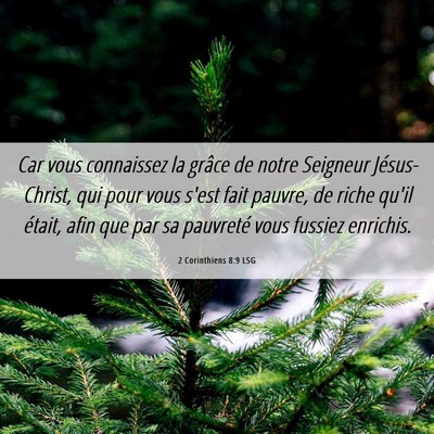 Picture 06 - 2 Corinthiens 8:9 LSG - Car vous connaissez la grâce de notre Seigneur - Bible Verse Picture