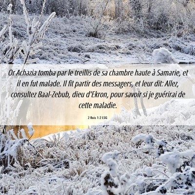 Picture 06 - 2 Rois 1:2 LSG - Or Achazia tomba par le treillis de sa chambre - Bible Verse Picture