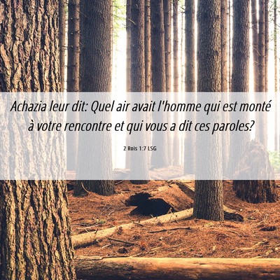 Picture 06 - 2 Rois 1:7 LSG - Achazia leur dit: Quel air avait l'homme qui est - Bible Verse Picture