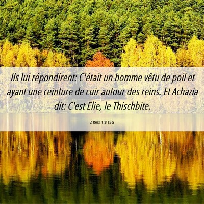 Picture 06 - 2 Rois 1:8 LSG - Ils lui répondirent: C'était un homme vêtu de - Bible Verse Picture