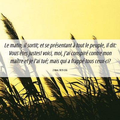 Picture 06 - 2 Rois 10:9 LSG - Le matin, il sortit; et se présentant à tout le - Bible Verse Picture