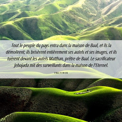 Picture 06 - 2 Rois 11:18 LSG - Tout le peuple du pays entra dans la maison de - Bible Verse Picture