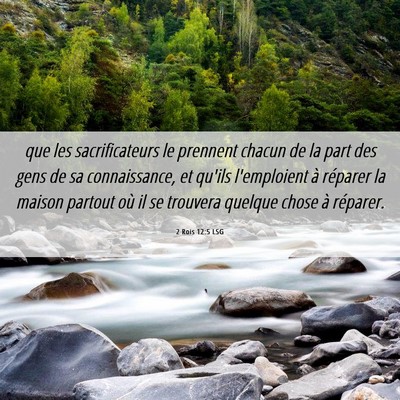Picture 06 - 2 Rois 12:5 LSG - que les sacrificateurs le prennent chacun de la - Bible Verse Picture
