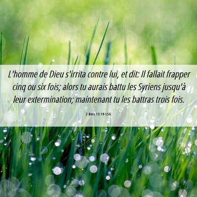 Picture 06 - 2 Rois 13:19 LSG - L'homme de Dieu s'irrita contre lui, et dit: Il - Bible Verse Picture