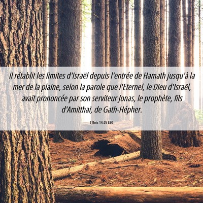 Picture 06 - 2 Rois 14:25 LSG - Il rétablit les limites d'Israël depuis - Bible Verse Picture