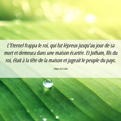 Picture 06 - 2 Rois 15:5 LSG - L'Eternel frappa le roi, qui fut lépreux - Bible Verse Picture