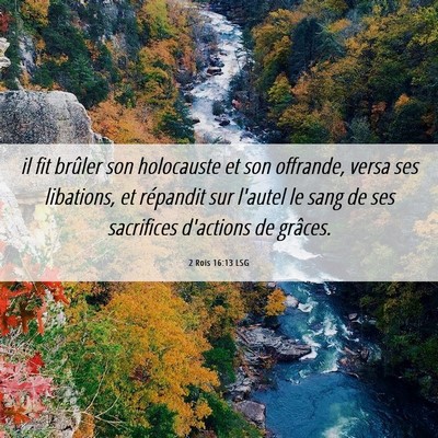 Picture 06 - 2 Rois 16:13 LSG - il fit brûler son holocauste et son offrande, - Bible Verse Picture