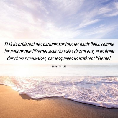 Picture 06 - 2 Rois 17:11 LSG - Et là ils brûlèrent des parfums sur tous les - Bible Verse Picture