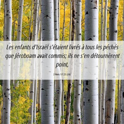 Picture 06 - 2 Rois 17:22 LSG - Les enfants d'Israël s'étaient livrés à tous - Bible Verse Picture