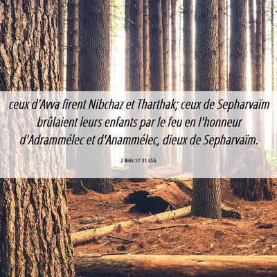 Picture 06 - 2 Rois 17:31 LSG - ceux d'Avva firent Nibchaz et Tharthak; ceux de - Bible Verse Picture