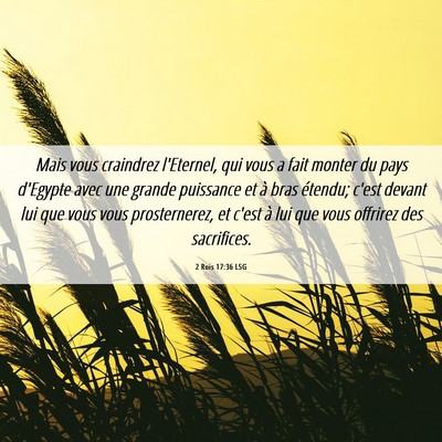 Picture 06 - 2 Rois 17:36 LSG - Mais vous craindrez l'Eternel, qui vous a fait - Bible Verse Picture