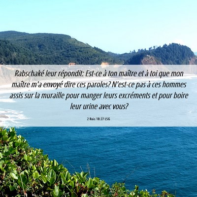 Picture 06 - 2 Rois 18:27 LSG - Rabschaké leur répondit: Est-ce à ton maître - Bible Verse Picture