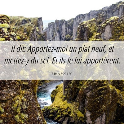 Picture 06 - 2 Rois 2:20 LSG - Il dit: Apportez-moi un plat neuf, et mettez-y du - Bible Verse Picture