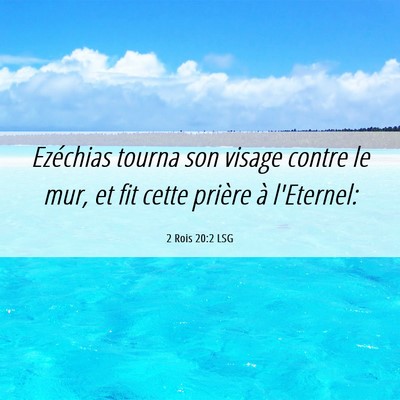 Picture 06 - 2 Rois 20:2 LSG - Ezéchias tourna son visage contre le mur, et fit - Bible Verse Picture