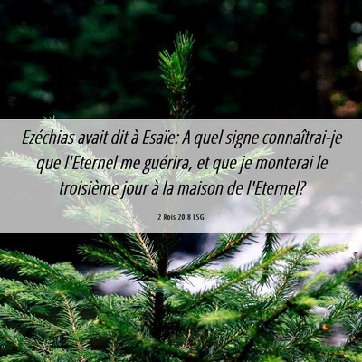 Picture 06 - 2 Rois 20:8 LSG - Ezéchias avait dit à Esaïe: A quel signe - Bible Verse Picture