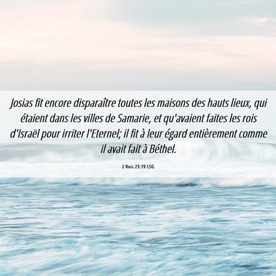 Picture 06 - 2 Rois 23:19 LSG - Josias fit encore disparaître toutes les maisons - Bible Verse Picture