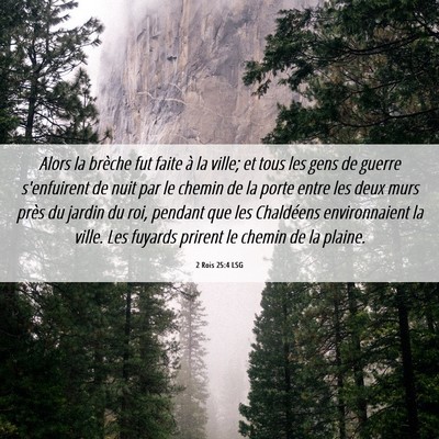 Picture 06 - 2 Rois 25:4 LSG - Alors la brèche fut faite à la ville; et tous - Bible Verse Picture