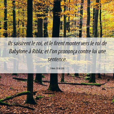 Picture 06 - 2 Rois 25:6 LSG - Ils saisirent le roi, et le firent monter vers le - Bible Verse Picture