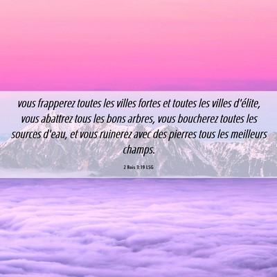 Picture 06 - 2 Rois 3:19 LSG - vous frapperez toutes les villes fortes et toutes - Bible Verse Picture