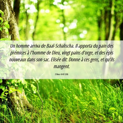 Picture 06 - 2 Rois 4:42 LSG - Un homme arriva de Baal-Schalischa. Il apporta du - Bible Verse Picture