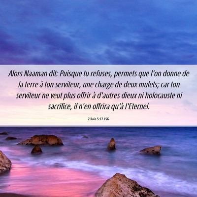 Picture 06 - 2 Rois 5:17 LSG - Alors Naaman dit: Puisque tu refuses, permets que - Bible Verse Picture