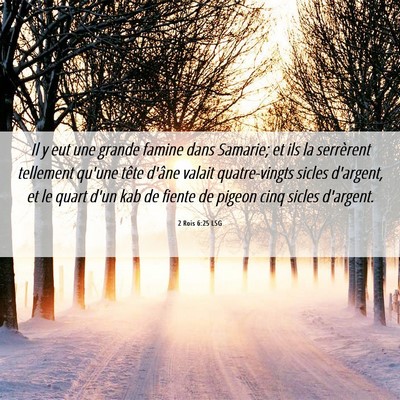 Picture 06 - 2 Rois 6:25 LSG - Il y eut une grande famine dans Samarie; et ils - Bible Verse Picture