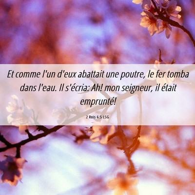 Picture 06 - 2 Rois 6:5 LSG - Et comme l'un d'eux abattait une poutre, le fer - Bible Verse Picture