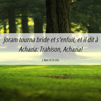 Picture 06 - 2 Rois 9:23 LSG - Joram tourna bride et s'enfuit, et il dit à - Bible Verse Picture