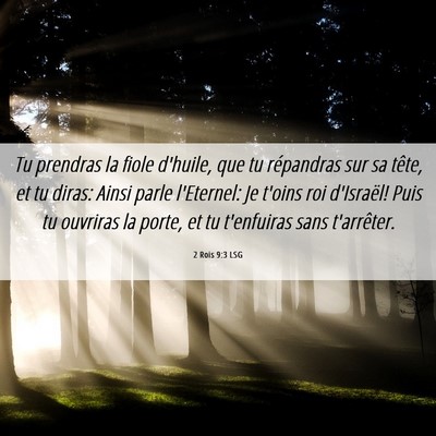 Picture 06 - 2 Rois 9:3 LSG - Tu prendras la fiole d'huile, que tu répandras - Bible Verse Picture