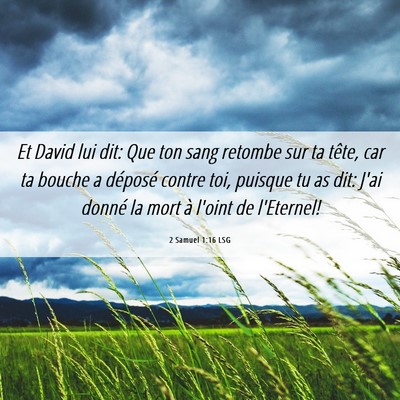 Picture 06 - 2 Samuel 1:16 LSG - Et David lui dit: Que ton sang retombe sur ta - Bible Verse Picture