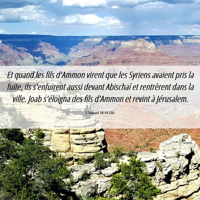 Picture 06 - 2 Samuel 10:14 LSG - Et quand les fils d'Ammon virent que les Syriens - Bible Verse Picture
