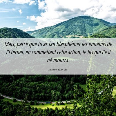 Picture 06 - 2 Samuel 12:14 LSG - Mais, parce que tu as fait blasphémer les - Bible Verse Picture