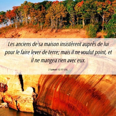 Picture 06 - 2 Samuel 12:17 LSG - Les anciens de sa maison insistèrent auprès de - Bible Verse Picture
