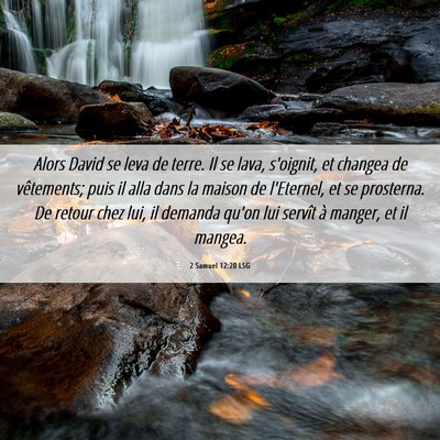 Picture 06 - 2 Samuel 12:20 LSG - Alors David se leva de terre. Il se lava, - Bible Verse Picture