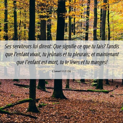 Picture 06 - 2 Samuel 12:21 LSG - Ses serviteurs lui dirent: Que signifie ce que tu - Bible Verse Picture