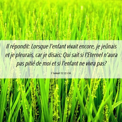 Picture 06 - 2 Samuel 12:22 LSG - Il répondit: Lorsque l'enfant vivait encore, je - Bible Verse Picture