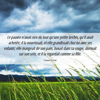Picture 06 - 2 Samuel 12:3 LSG - Le pauvre n'avait rien du tout qu'une petite - Bible Verse Picture