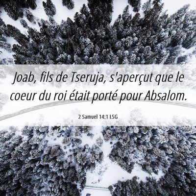 Picture 06 - 2 Samuel 14:1 LSG - Joab, fils de Tseruja, s'aperçut que le coeur du - Bible Verse Picture