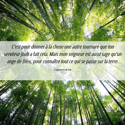 Picture 06 - 2 Samuel 14:20 LSG - C'est pour donner à la chose une autre tournure - Bible Verse Picture