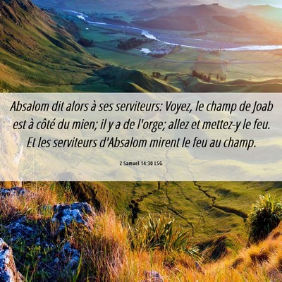 Picture 06 - 2 Samuel 14:30 LSG - Absalom dit alors à ses serviteurs: Voyez, le - Bible Verse Picture