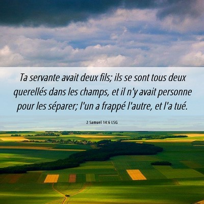 Picture 06 - 2 Samuel 14:6 LSG - Ta servante avait deux fils; ils se sont tous - Bible Verse Picture