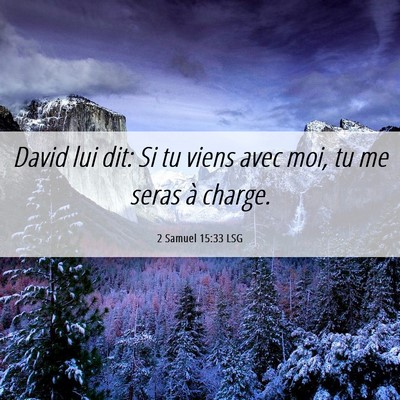 Picture 06 - 2 Samuel 15:33 LSG - David lui dit: Si tu viens avec moi, tu me seras - Bible Verse Picture