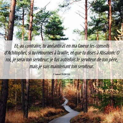 Picture 06 - 2 Samuel 15:34 LSG - Et, au contraire, tu anéantiras en ma faveur les - Bible Verse Picture