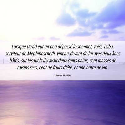 Picture 06 - 2 Samuel 16:1 LSG - Lorsque David eut un peu dépassé le sommet, - Bible Verse Picture