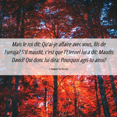 Picture 06 - 2 Samuel 16:10 LSG - Mais le roi dit: Qu'ai-je affaire avec vous, fils - Bible Verse Picture