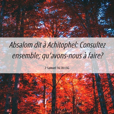 Picture 06 - 2 Samuel 16:20 LSG - Absalom dit à Achitophel: Consultez ensemble; - Bible Verse Picture